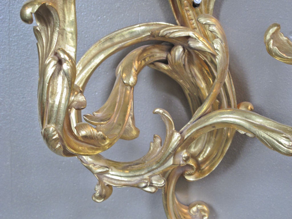 19th Century Pair of Gilt Bronze Louis XV Sconces