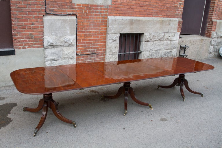 Beautiful Regency period solid mahogany triple pedestal dining table, each pedestal having four reeded sabre legs ending in original bronze castors. Fitted with two solid mahogany extensions.
Fantastic timber and color. 113 1/4 inches without