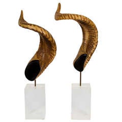 Pair of Decorative Horns