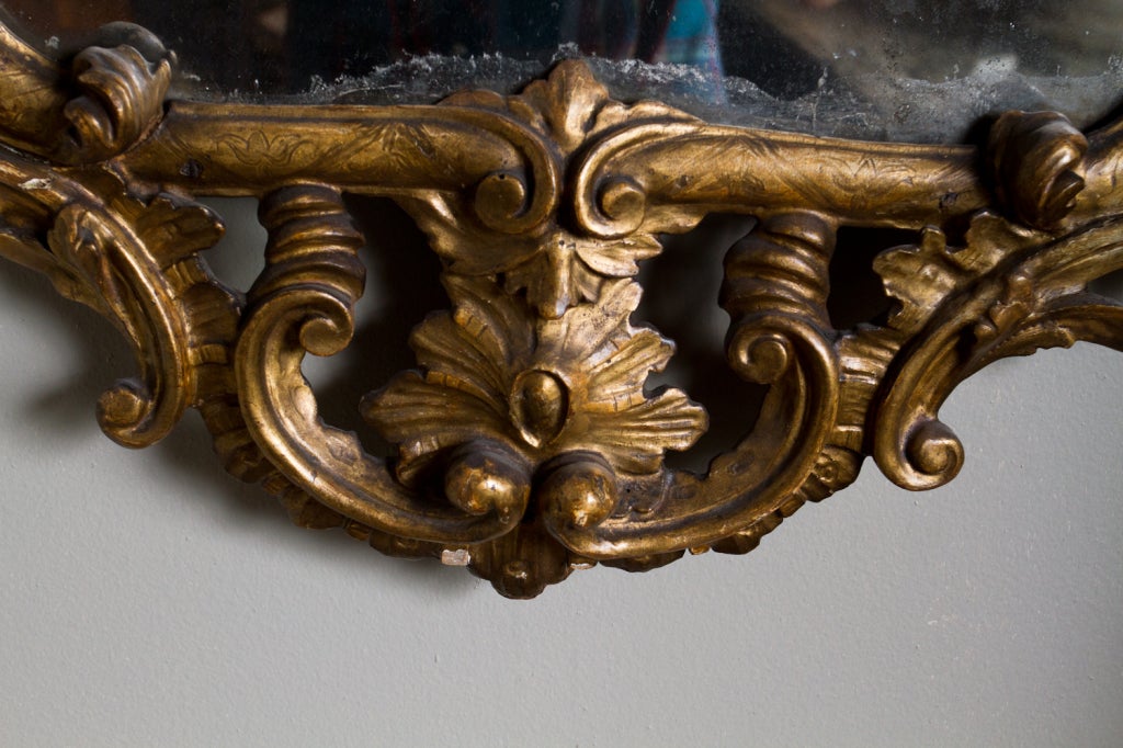 Italian Rococo gilt and carved wood mirror.