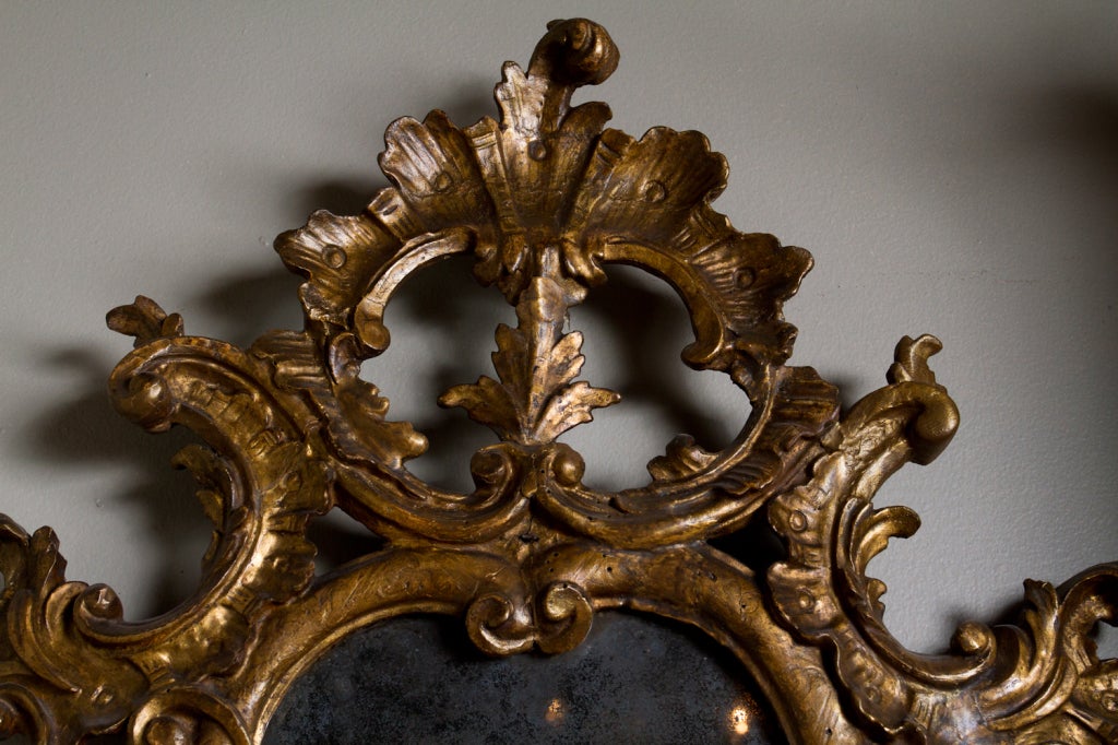 18th Century and Earlier Italian Gilt Wood Mirror
