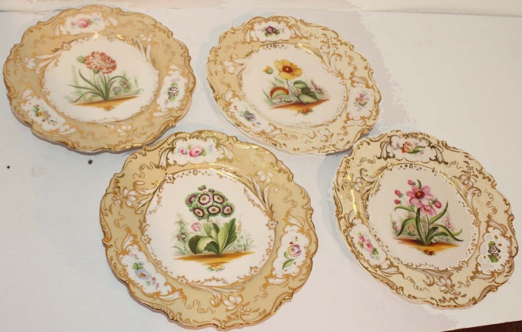 Set of 12 Coalport dessert plates and two oval serving dishes, all hand-painted with various flowers centering moulded beige border with floral cartouches and serpentine rim, all overglaze gilding.