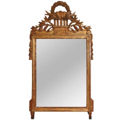 Louis XVI Giltwood Mirror