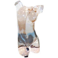 20th Century Acrylic Female Torso