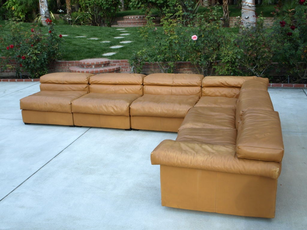 Italian Large 6-pc Leather Sectional Sofa by Afra Scarpa for B&B Italia
