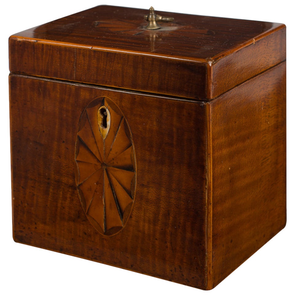 Late 18th Century Mahogany Georgian Tea Caddy For Sale