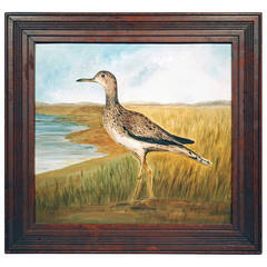 Willet in Beach Grass Oil on Board