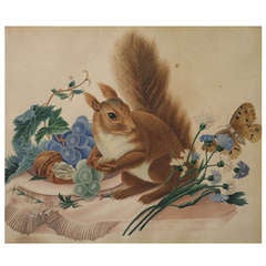 Squirrel with Walnuts, Flowers, Fruit and Butterfly