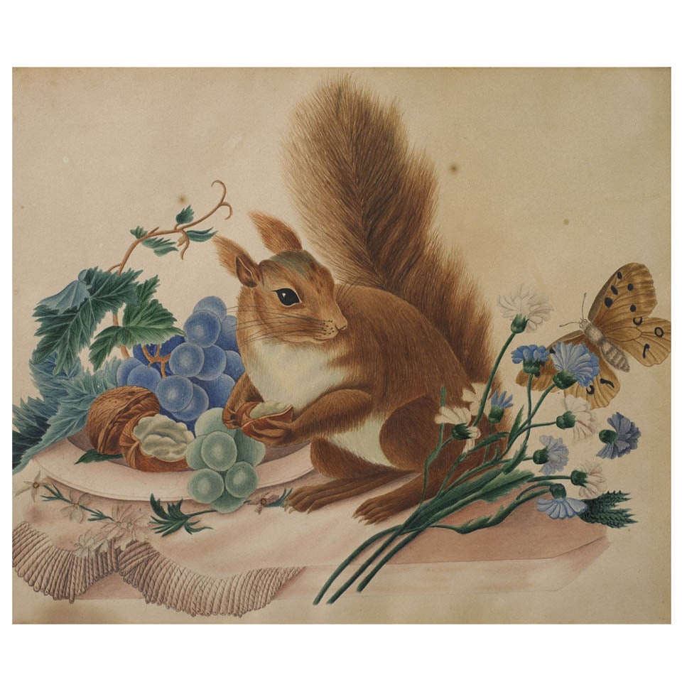 Squirrel with Walnuts, Flowers, Fruit and Butterfly