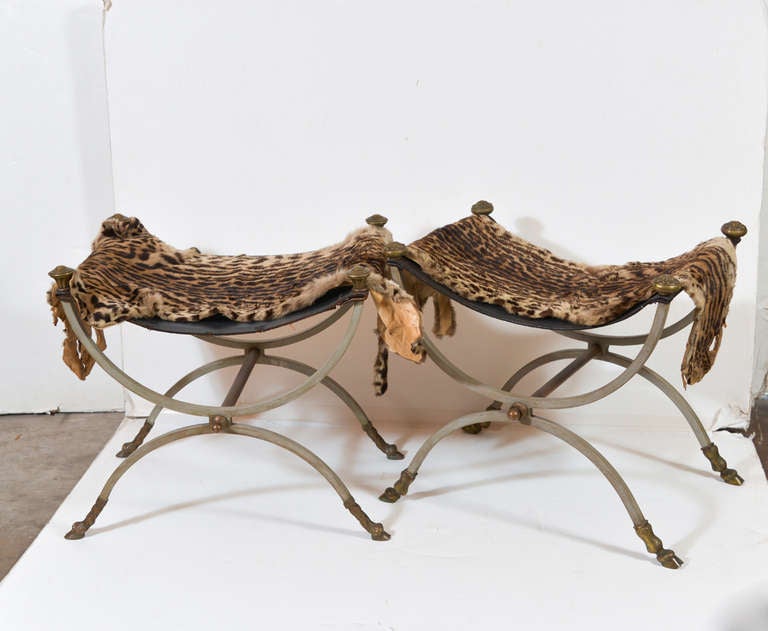 Pair of Neoclassical Wrought Iron Curule Stools, 
Leather seats, bronze finials, hoofed feet with a pair of ocelot pelts
14-1/2