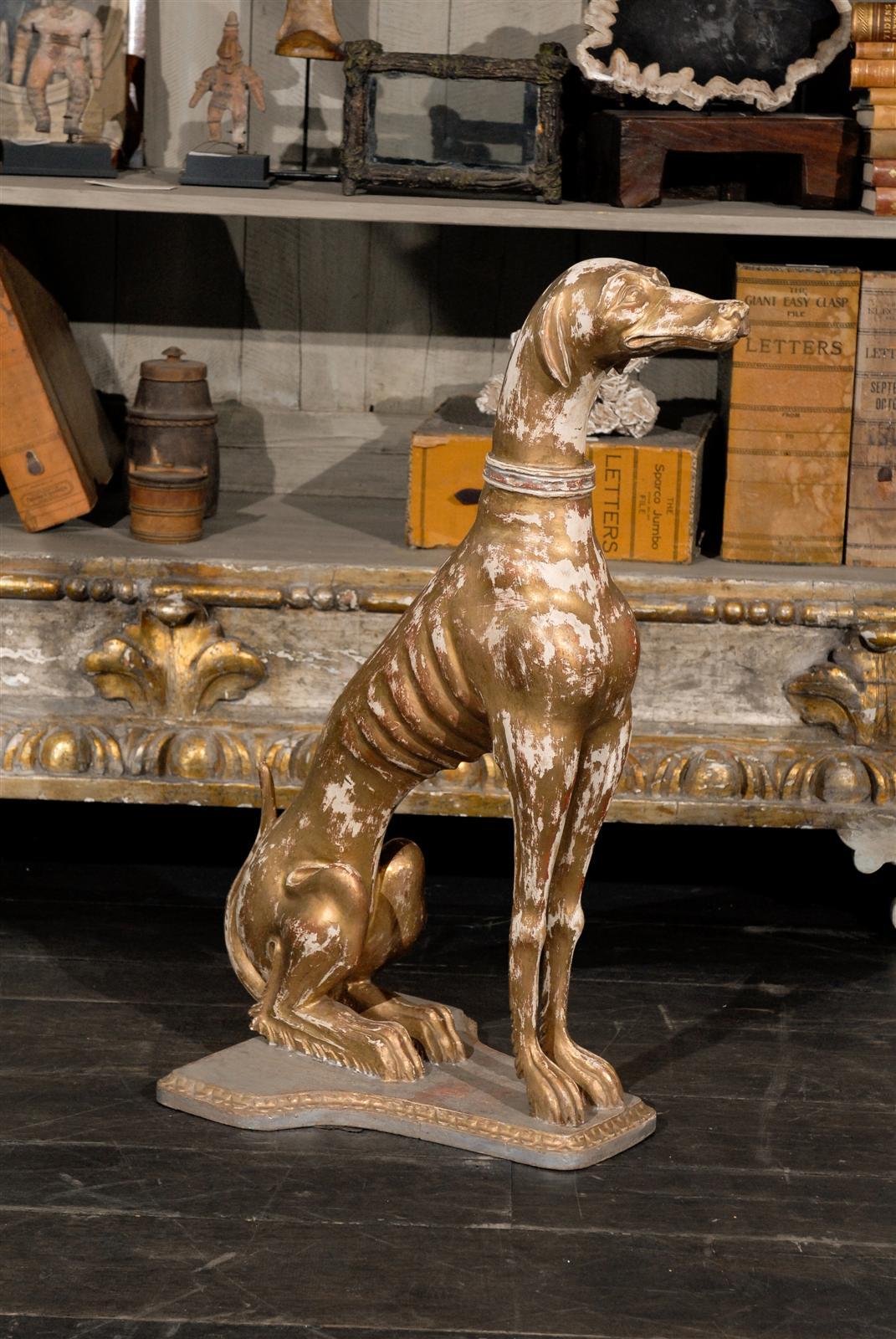 This exquisite Italian greyhound/whippet dog features nice carved details on the collar, paws, stomach and head area. It sits on a silver tone base with gilded accents. This greyhound has a great presence and would look right at hone on a pedestal,