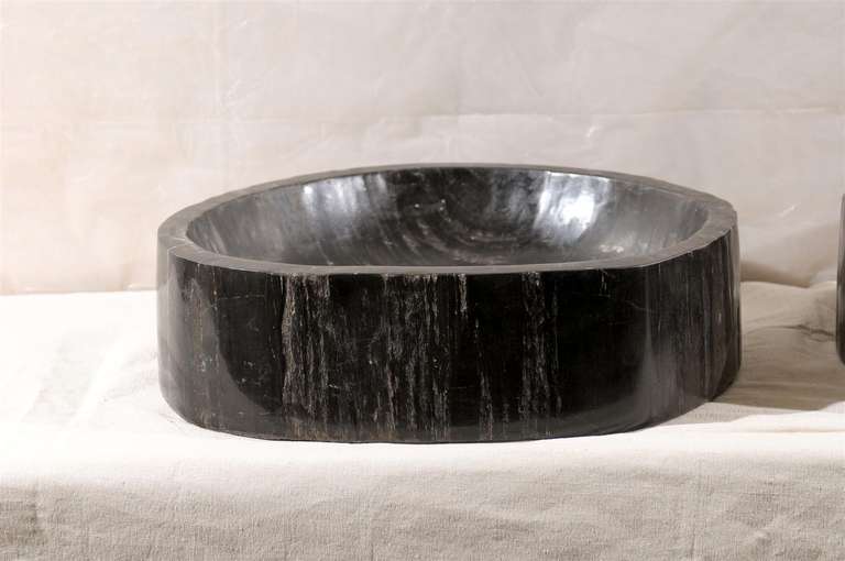 A Pair of Gorgeous Black Petrified Wood Sinks 2