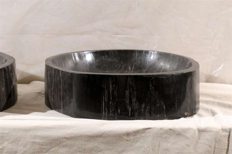 A Pair of Gorgeous Black Petrified Wood Sinks 1