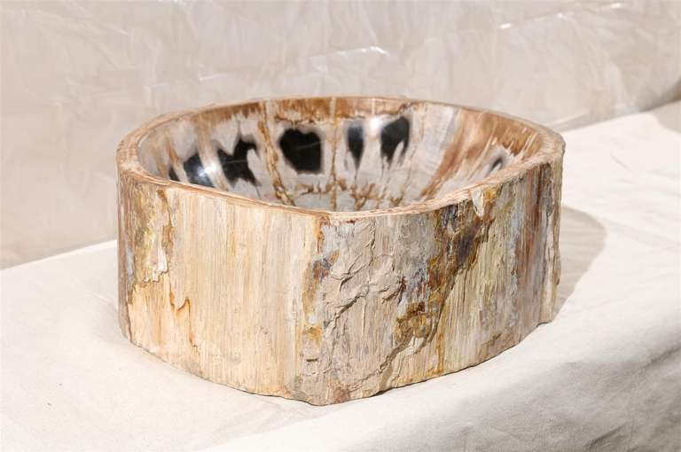 Petrified Wood Sink 1