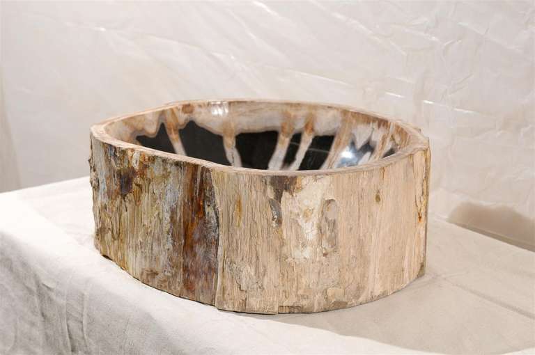 20th Century Petrified Wood Sink