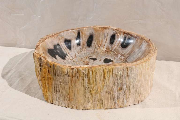 A Petrified Wood Sink. Perfect for a Vanity, drilled for US plumbing. 

Petrified wood is a fossil. It is the result of a tree or tree-like plant having completely transitioned to stone. All the organic materials have been replaced with minerals.