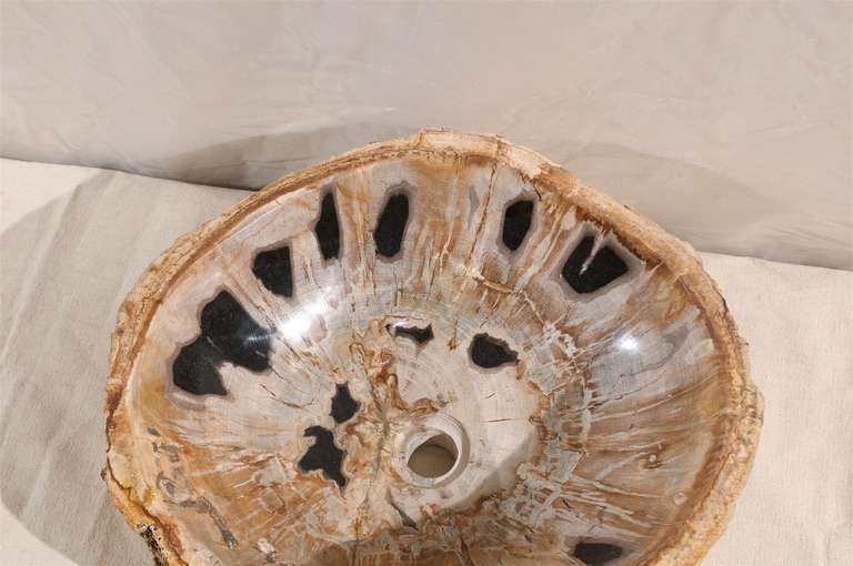 A Petrified Wood Sink 3