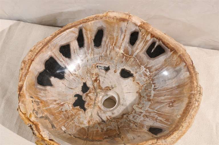 A Petrified Wood Sink 1