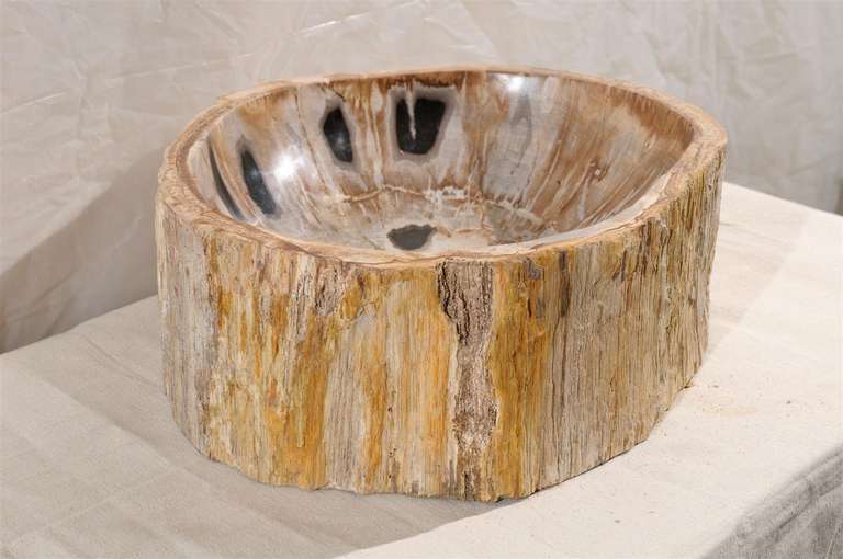 Indonesian A Petrified Wood Sink