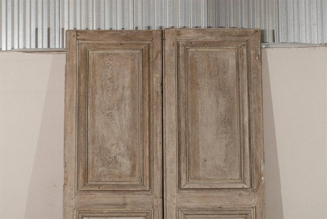 Pair of French 19th Century Wooden Doors 1