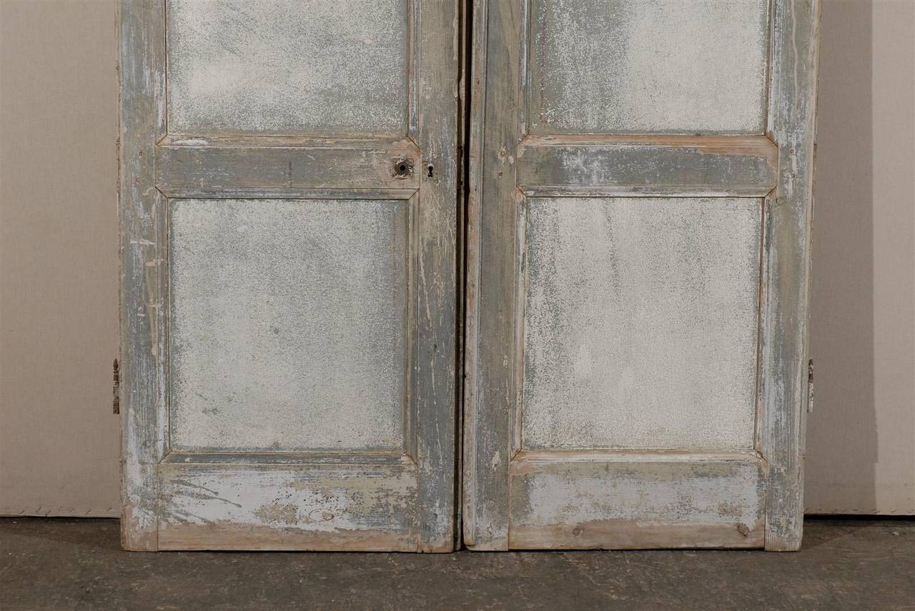 Pair of 19th Century French Painted Wood Doors 2