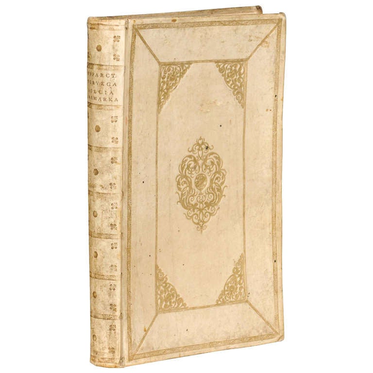 Old Spanish Vellum Book at 1stdibs