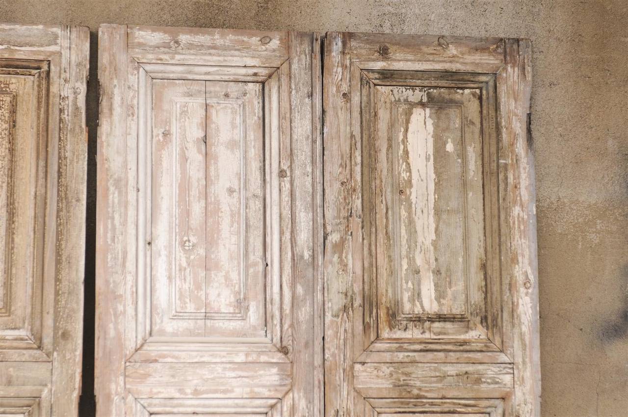 A Pair of French 19th Century Wooden Doors 1