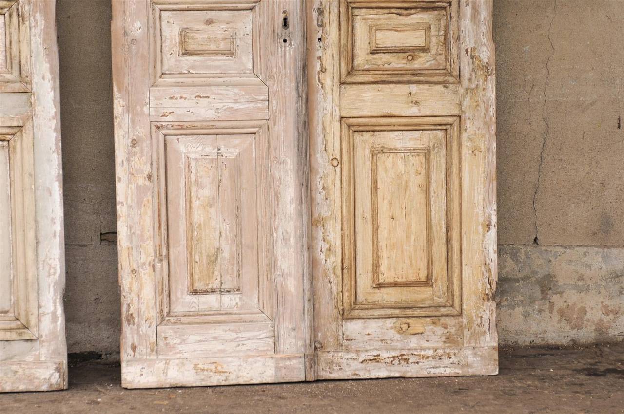 A Pair of French 19th Century Wooden Doors 5