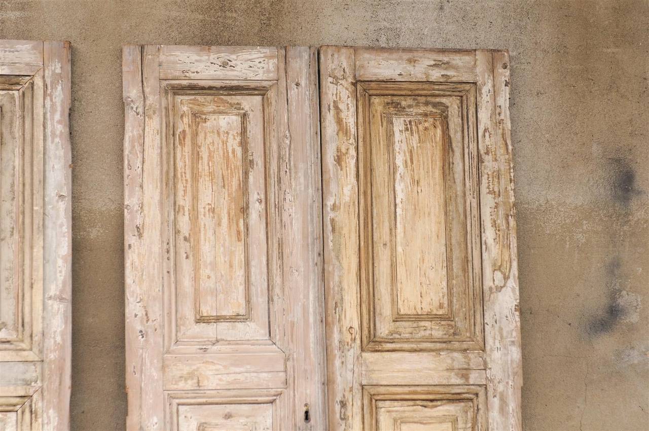A Pair of French 19th Century Wooden Doors 6