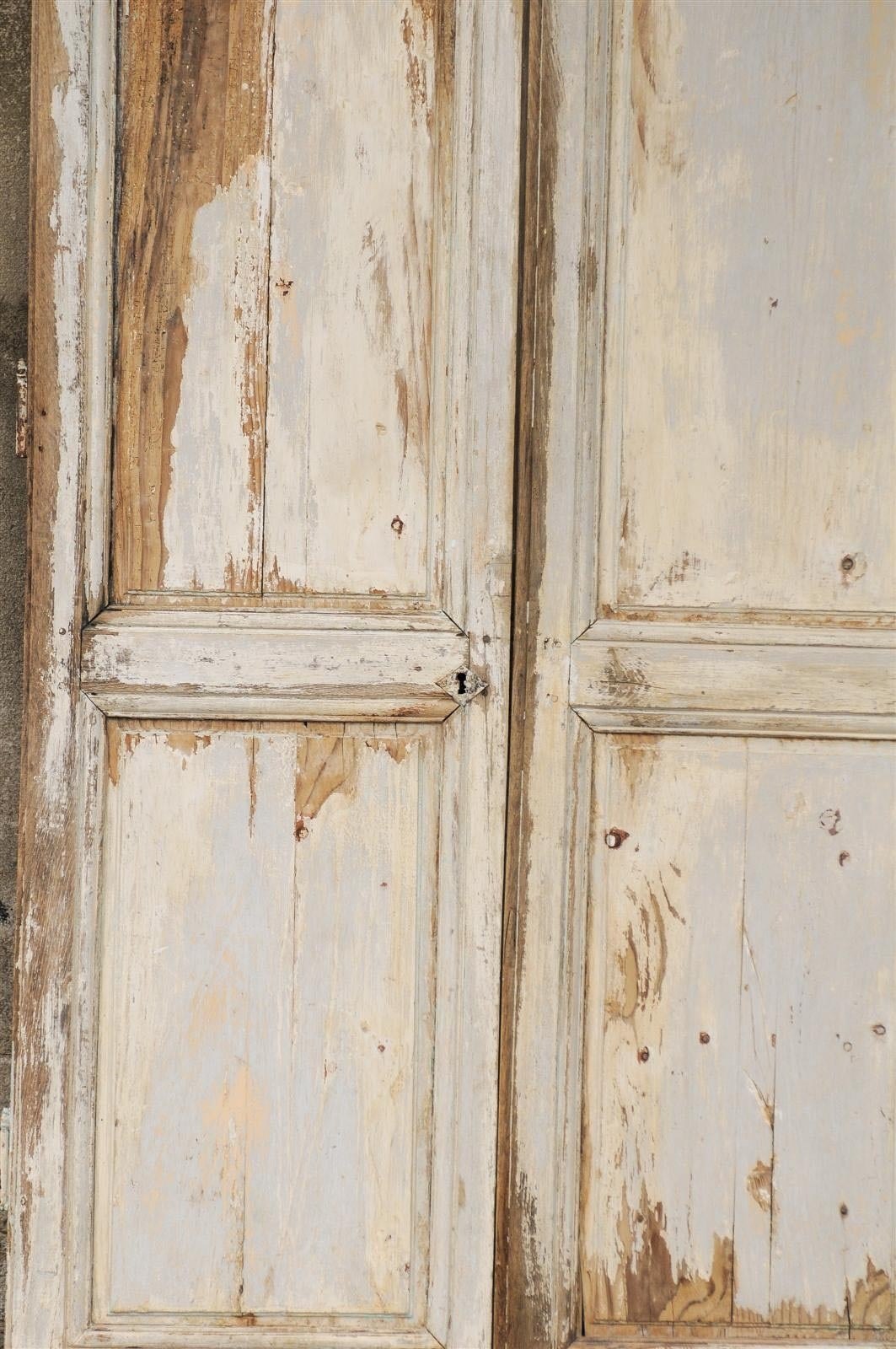 Pair of French 19th Century Painted Wood Doors 3