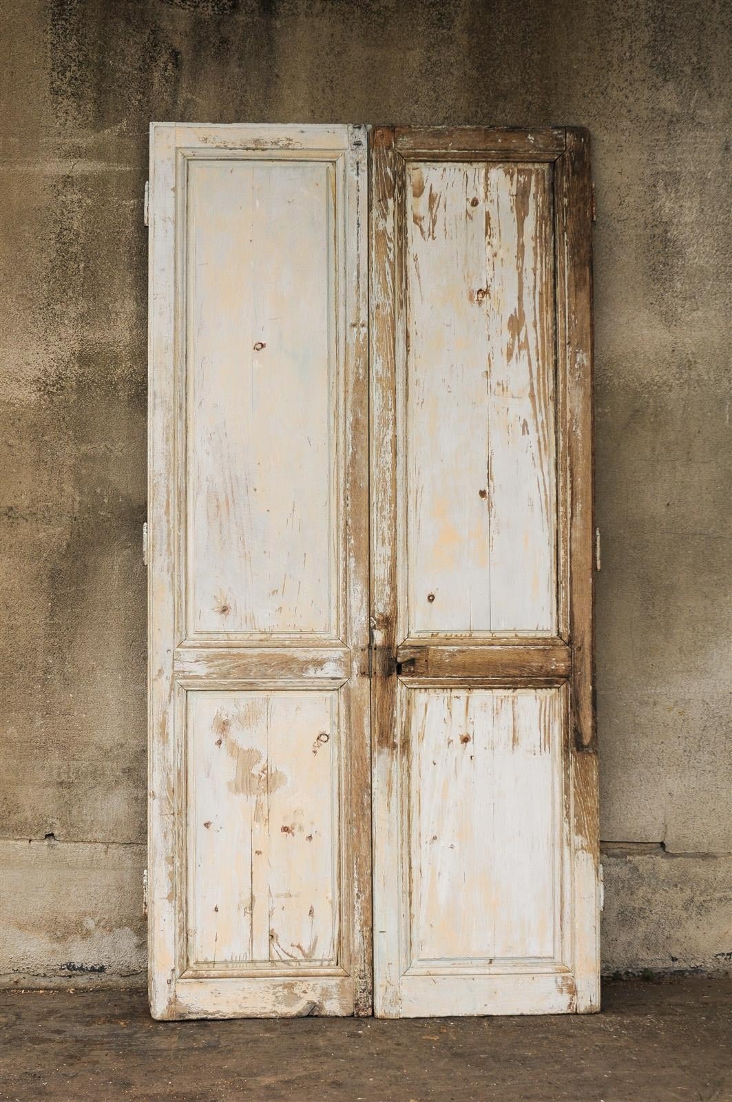Pair of French 19th Century Painted Wood Doors 4