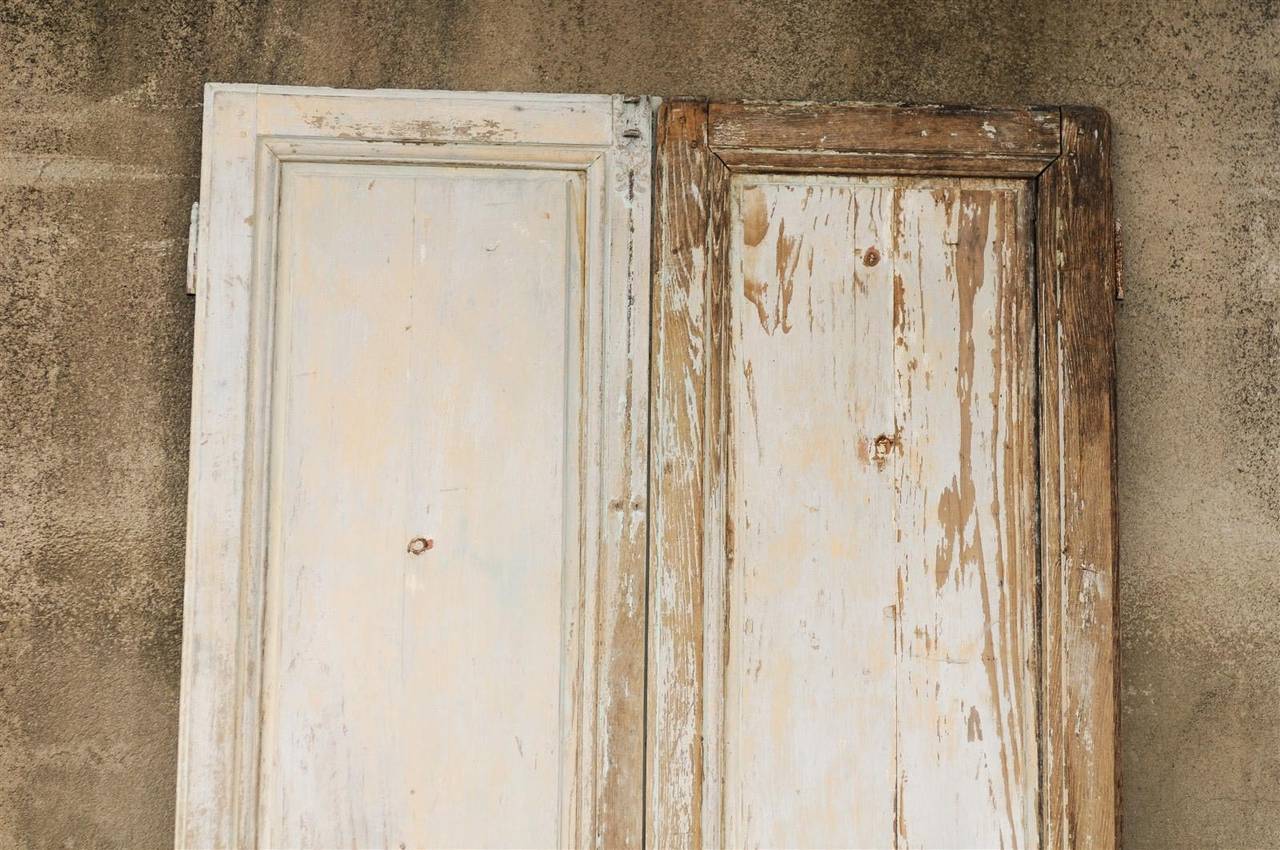 Pair of French 19th Century Painted Wood Doors 5