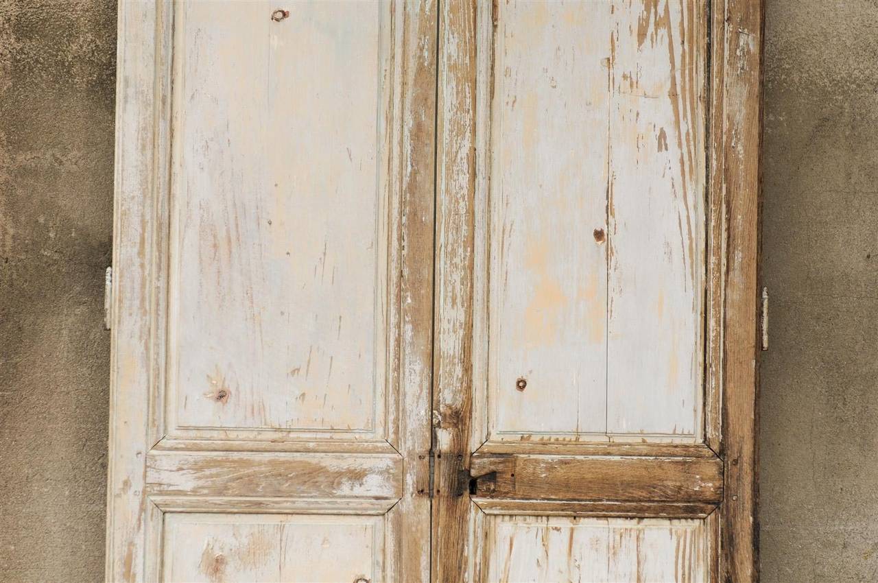Pair of French 19th Century Painted Wood Doors 6