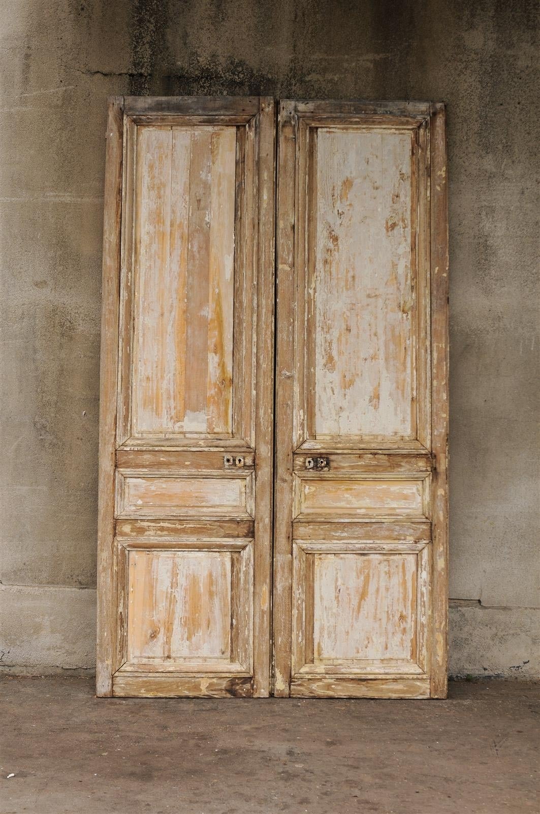 Pair of 19th Century Wooden Doors 3