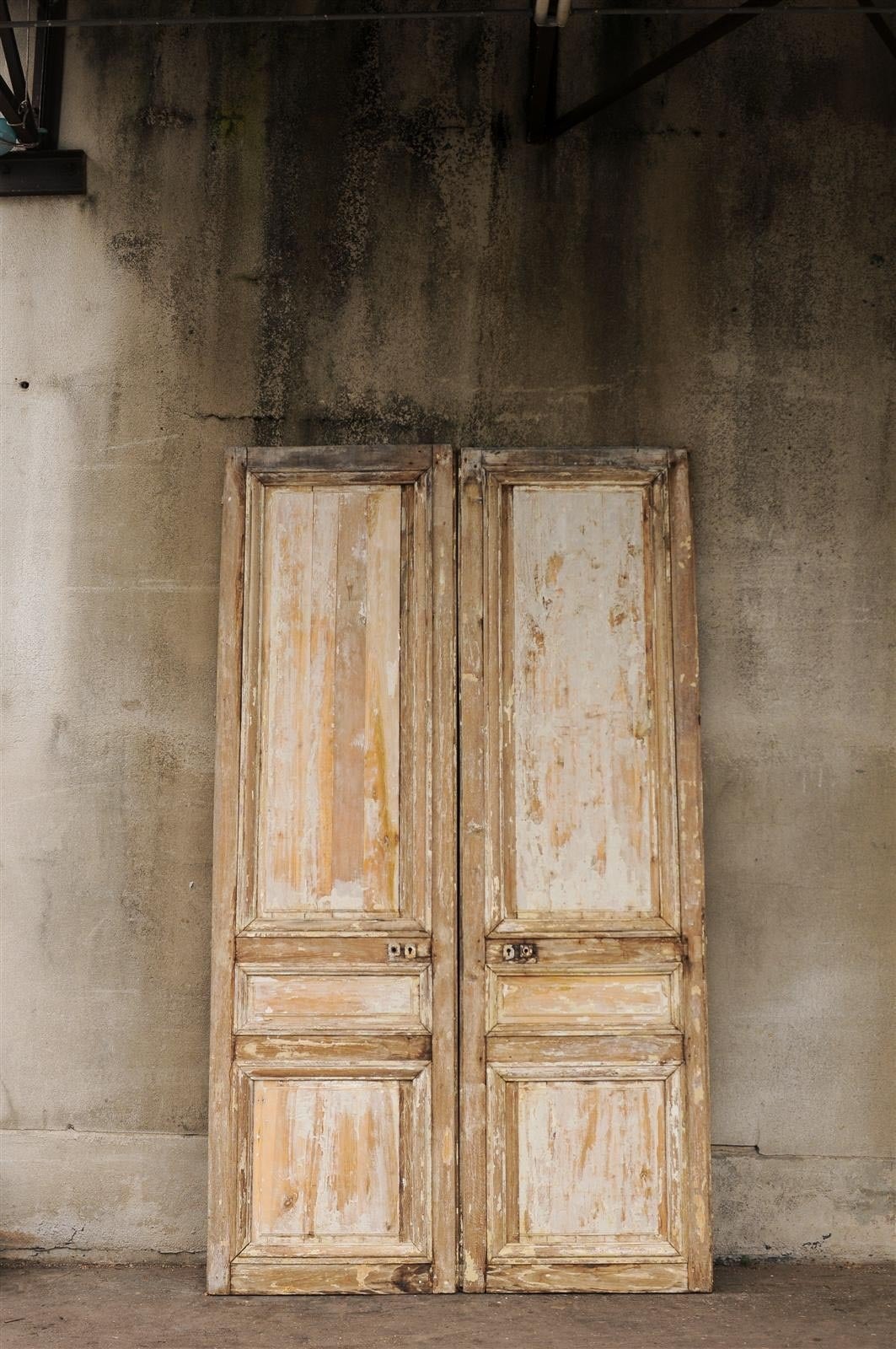 Pair of 19th Century Wooden Doors 4