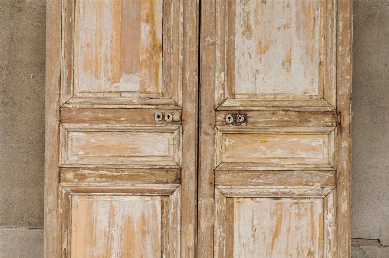 Pair of 19th Century Wooden Doors 6