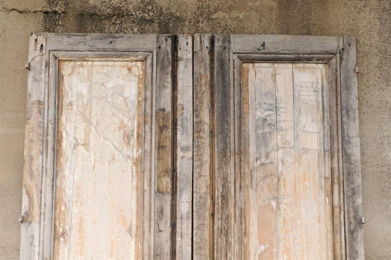 Italian Pair of 19th Century Wooden Doors