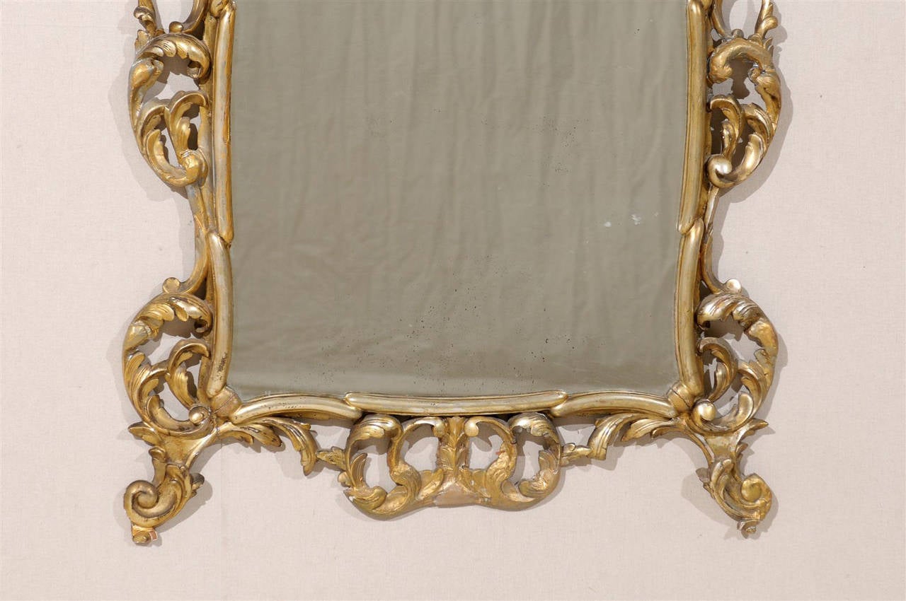 Wood Early 20th Century Italian Gold and Silver Gilt Mirror