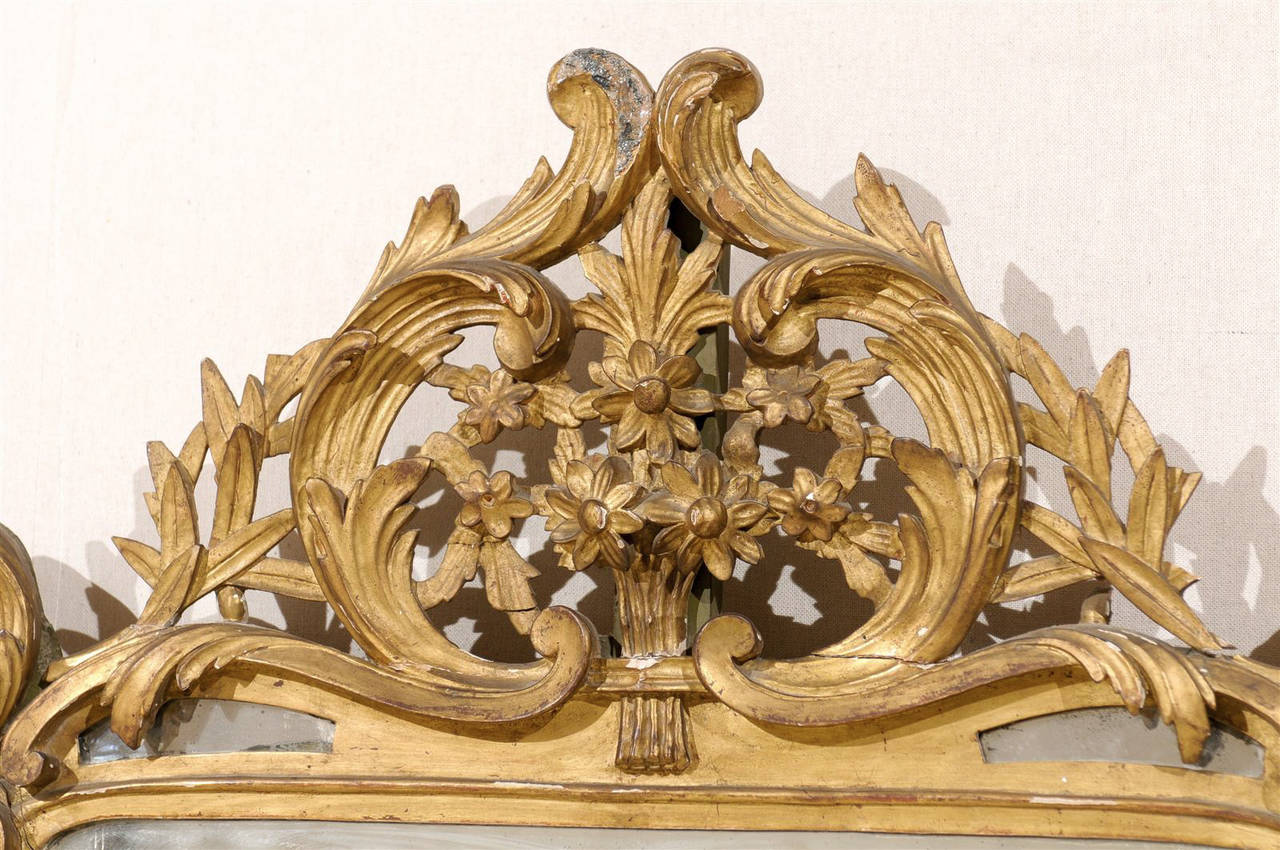 French Mid-19th Century Richly Carved Gilded Wood Mirror 5
