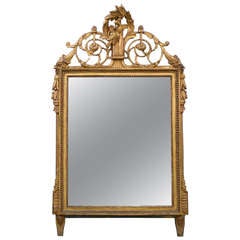 A French 19th Century Gilded Mirror with Doves Carving