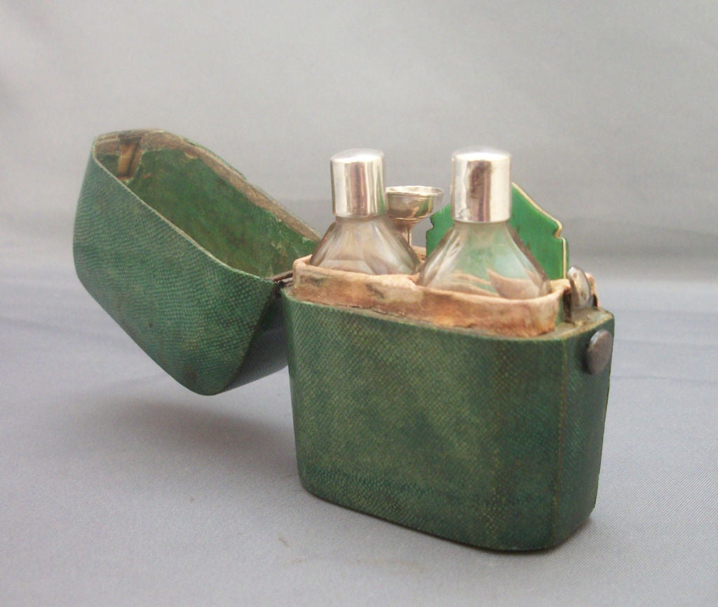 Fine French Napoleonic Shagreen Necessarie Etui For Sale at 1stDibs