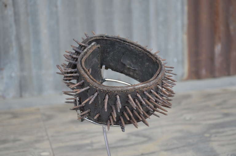 Spiked Bear Hunting Collar In Good Condition For Sale In Oakland, CA