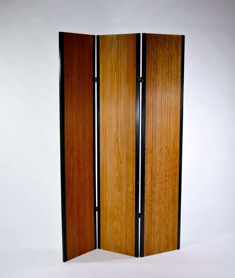 American Dramatic 1940's Screen For Sale