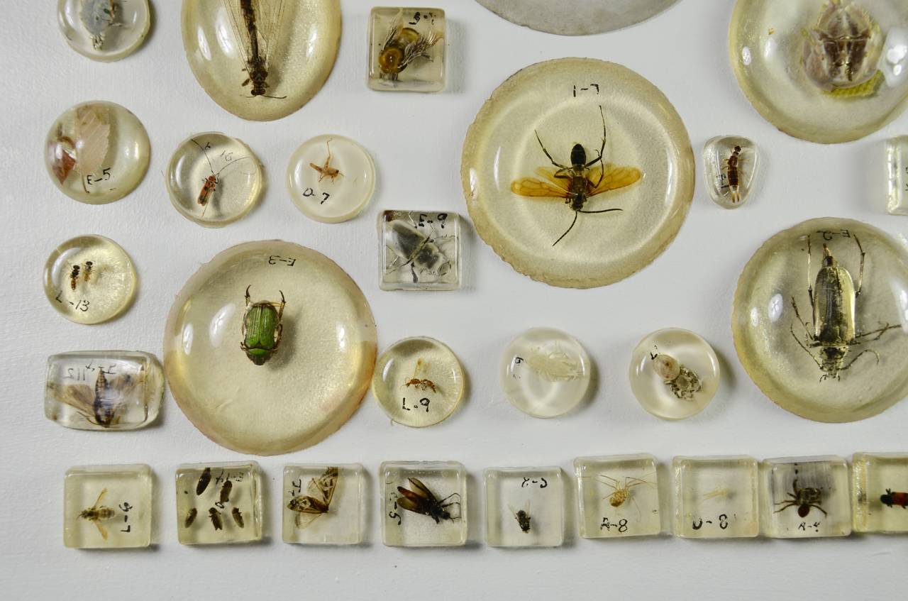 This wonderful collection was a de-acquisition from a museum in New Mexico. Nice aged resin from around 1920. This large and rare collection consists of 98 pieces. On sale for through the Memorial day weekend.
