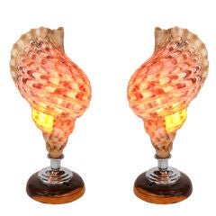 Vintage Pair of Hawaiian Conch Shell Lamps