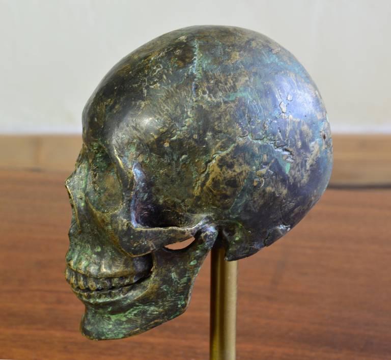 American Decorative Bronze Skull Sculpture