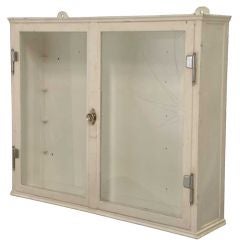 Extra Large Wall Hung Medical Cabinet