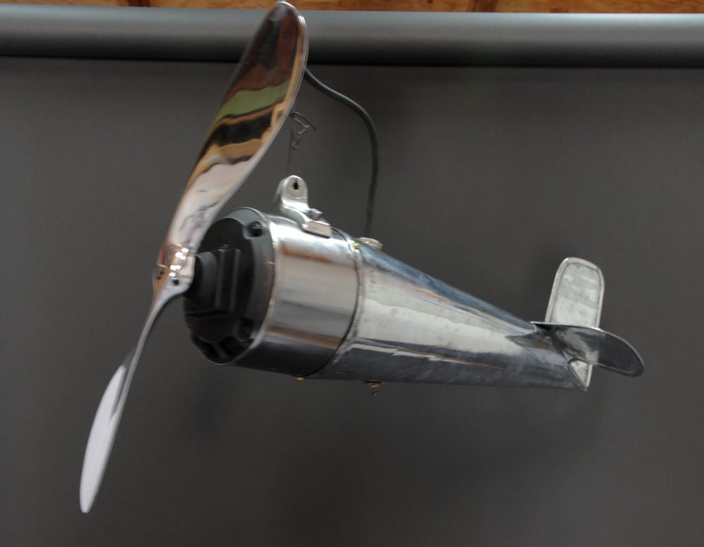 Butcher's Flying Fan