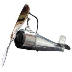 Butcher's Flying Fan