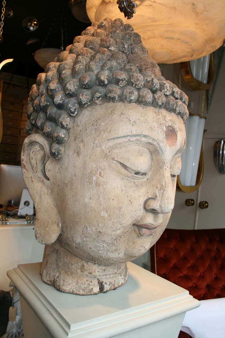 19th Century Large 19th century Chinese Polychrome head of the Lord Buddha For Sale